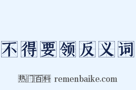 不得要领反义词是什么意思的图片
